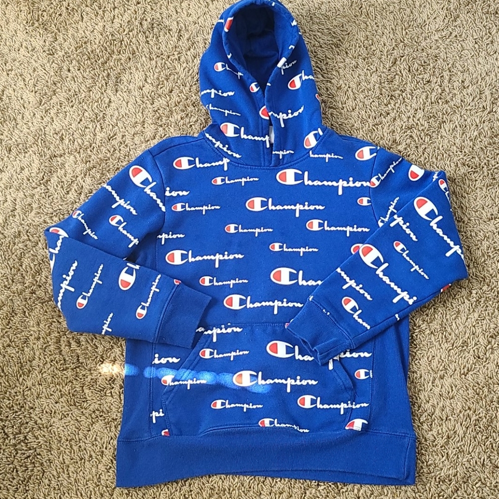 Champion Hoodie sweater.